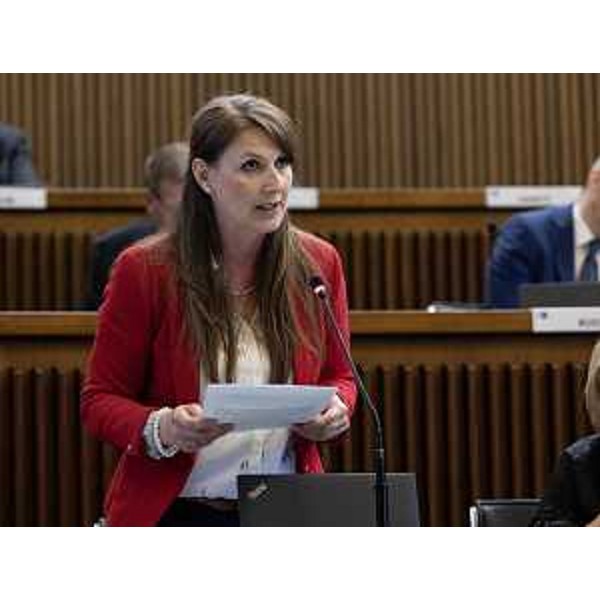 Rosaria Capozzi (M5S) - Rosaria Capozzi (M5S)