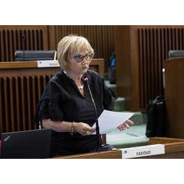 Laura Fasiolo (Pd) - Laura Fasiolo (Pd)