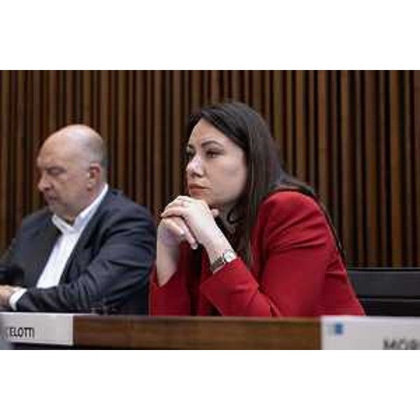 Manuela Celotti (Pd) - Manuela Celotti (Pd)