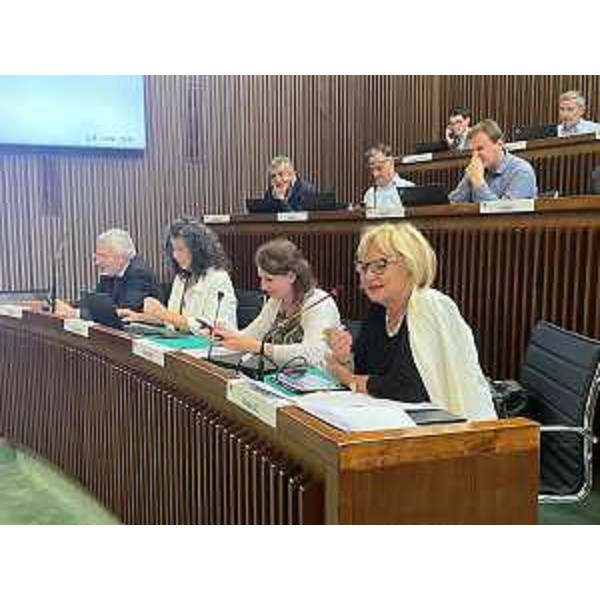 L'intervento di Laura Fasiolo (Pd) e i banchi dell'Opposizione - L'intervento di Laura Fasiolo (Pd) e i banchi dell'Opposizione