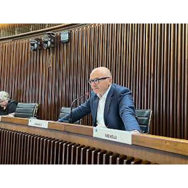 Michele Lobianco (FI) - Michele Lobianco (FI)