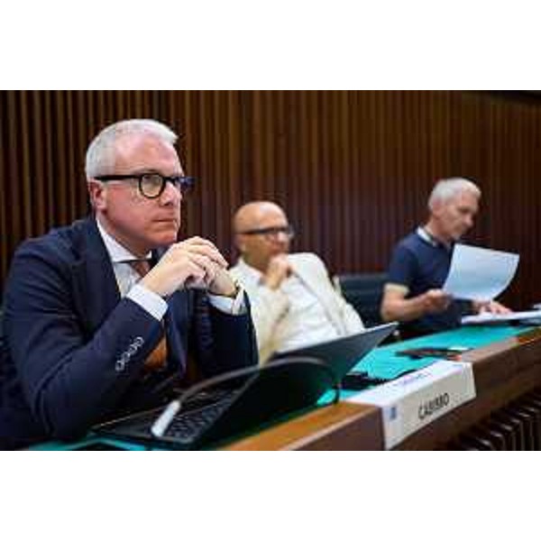Andrea Cabibbo (FI) - Prima Commissione Integrata