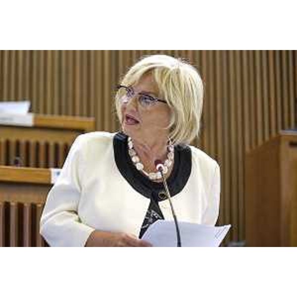 Laura Fasiolo (Pd) - Consiglio Regionale, ACON