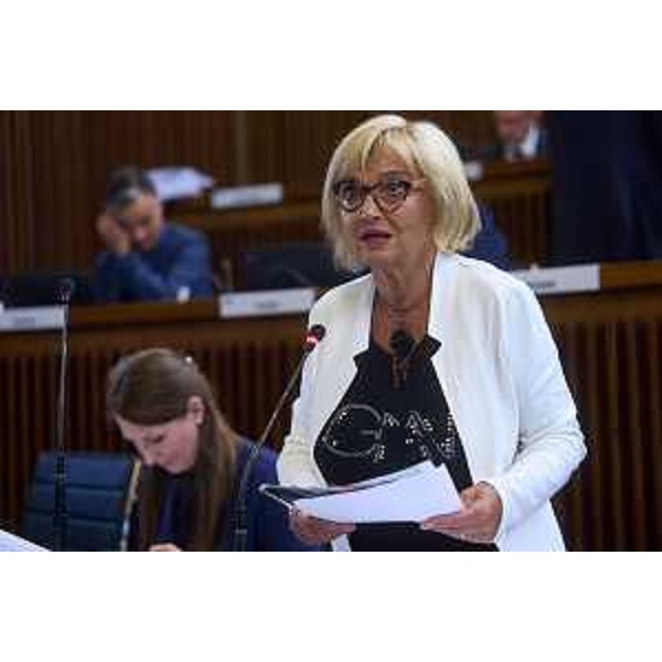 Laura Fasiolo (Pd) - Consiglio Regionale FVG