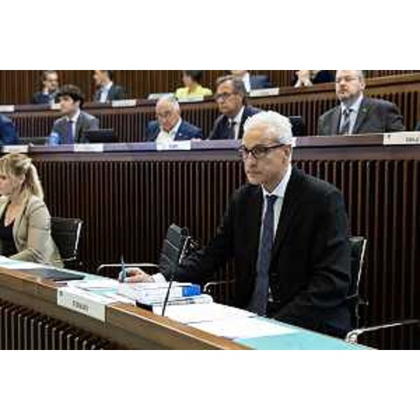 Manuele Ferrari (Lega) - Manuele Ferrari (Lega)