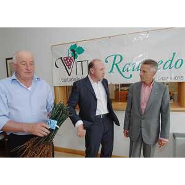 Riccardo Illy (Presidente Friuli Venezia Giulia) visita la cooperativa "Vitis" di Rauscedo. (Rauscedo 13/06/07)