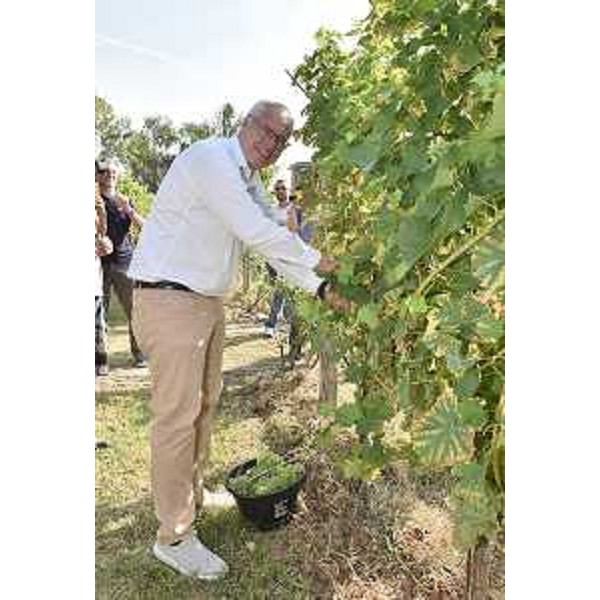 Il presidente Bordin a Corno di Rosazzo - Il presidente Bordin a Corno di Rosazzo