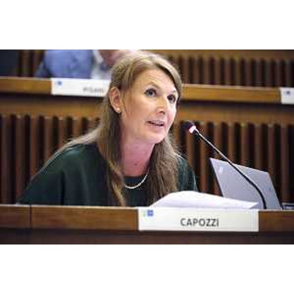 Rosaria Capozzi (M5S) - Seconda Commissione Permanente