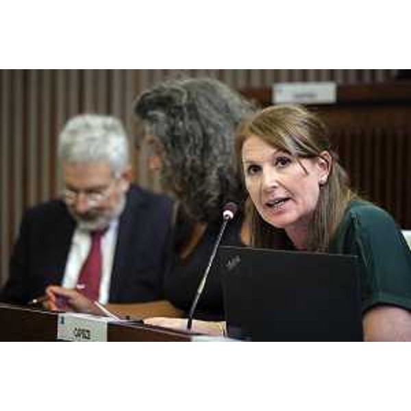 Rosaria Capozzi (M5S) - Seconda Commissione Permanente