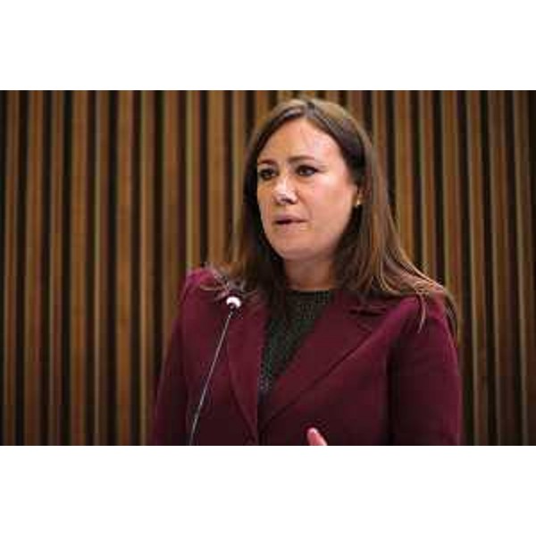 Manuela Celotti (Pd) - Seduta d' Aula