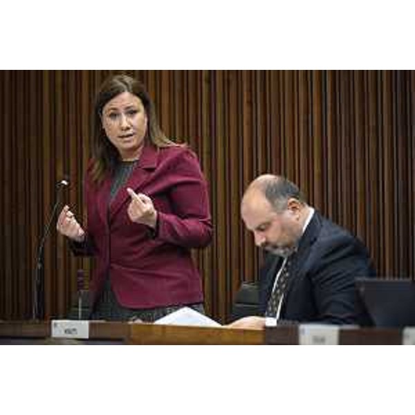 Manuela Celotti e Diego Moretti (Pd) - Seduta d' Aula