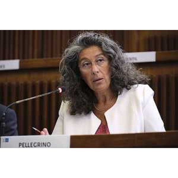 Serena Pellegrino (Avs) - VI Commissione