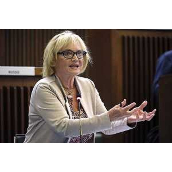 Laura Fasiolo (Pd) - VI Commissione