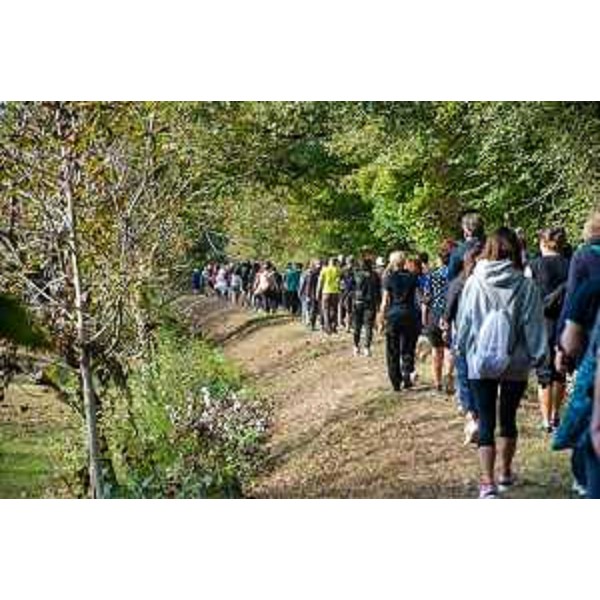 Un momento della Camminata in rosa - Un momento della Camminata in rosa 