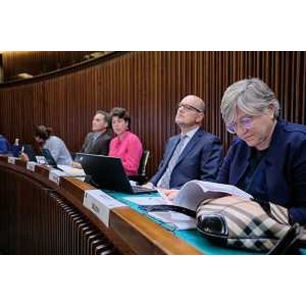 Simona Liguori (Patto-Civica Fvg) - Simona Liguori (Patto-Civica Fvg)