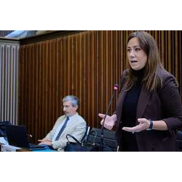 Manuela Celotti (Pd) - Manuela Celotti (Pd)