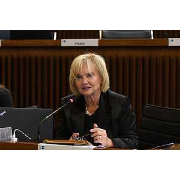 Laura Fasiolo (Pd) - Laura Fasiolo (Pd)