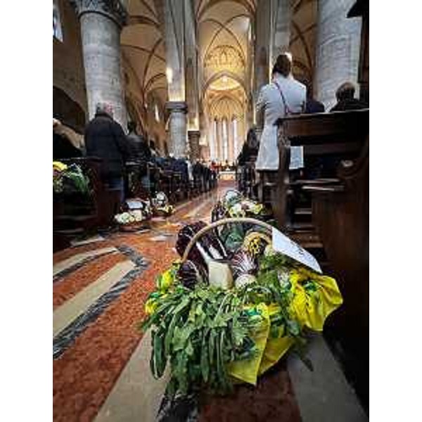La settantatreesima Giornata provinciale del Ringraziamento agricolo di Gemona del Friuli - La settantatreesima Giornata provinciale del Ringraziamento agricolo di Gemona del Friuli