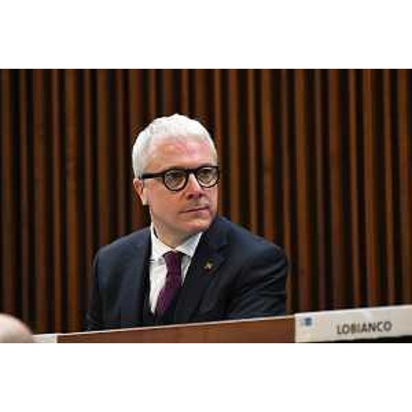 Andrea Cabibbo (Forza Italia) - Andrea Cabibbo (Forza Italia)