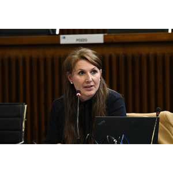 Rosaria Capozzi (M5S) - Rosaria Capozzi (M5S)