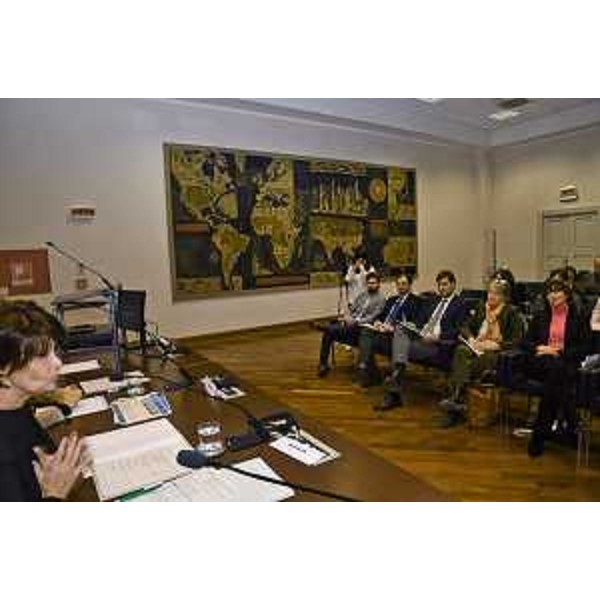 L'assessore regionale Alessia Rosolen rivolta alla platea della Sala Prendonzani nel Palazzo della Regione a Trieste - L'assessore regionale Alessia Rosolen rivolta alla platea della Sala Prendonzani nel Palazzo della Regione a Trieste