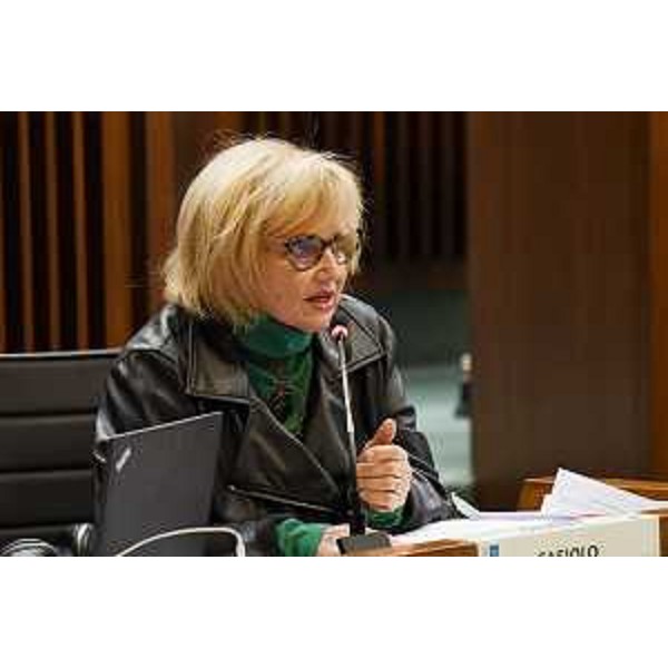 Laura Fasiolo (Pd) - Laura Fasiolo (Pd)
