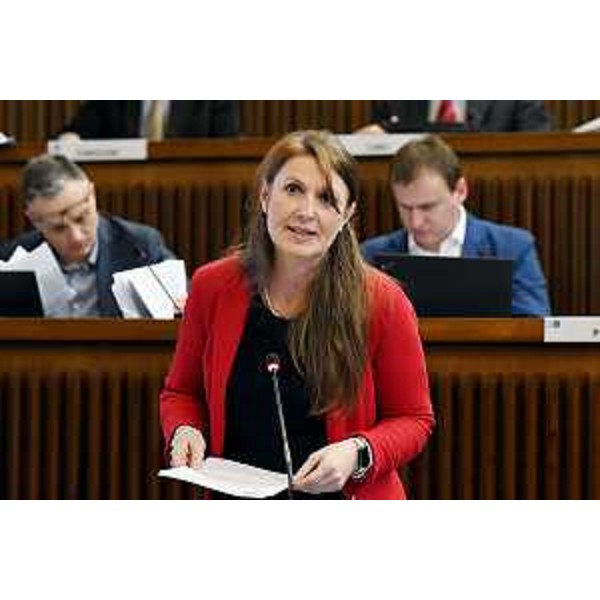 Rosaria Capozzi (Gruppo Misto - M5S) - Rosaria Capozzi (Gruppo Misto - M5S)
