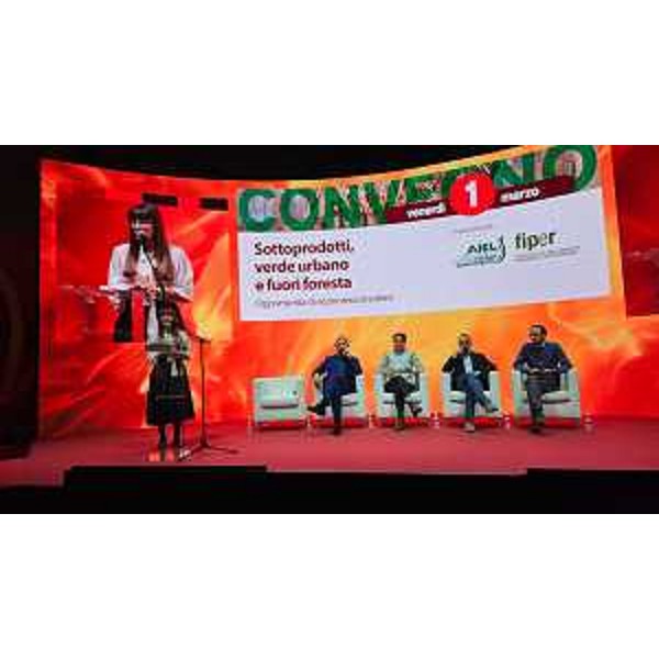Il convegno "Sottoprodotti, verde urbano e fuori foresta" - Il convegno "Sottoprodotti, verde urbano e fuori foresta"