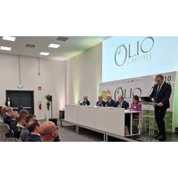 L'intervento dell'assessore Scoccimarro. - L'intervento dell'assessore Scoccimarro.