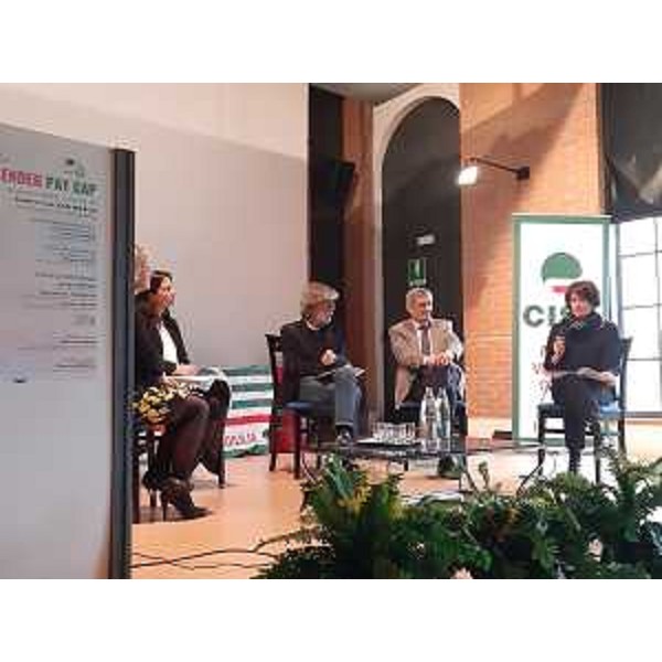 L'assessore regionale al Lavoro, formazione, istruzione, famiglia, università e ricerca Alessia Rosolen alla tavola rotonda della Cisl - L'assessore regionale al Lavoro, formazione, istruzione, famiglia, università e ricerca Alessia Rosolen alla tavola rotonda della Cisl
