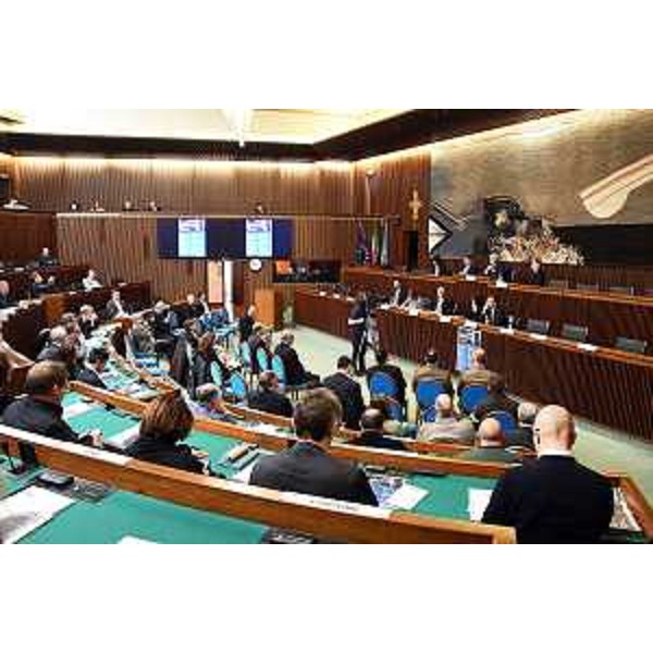 L'aula del Consiglio regionale durante il convegno - L'aula del Consiglio regionale durante il convegno
