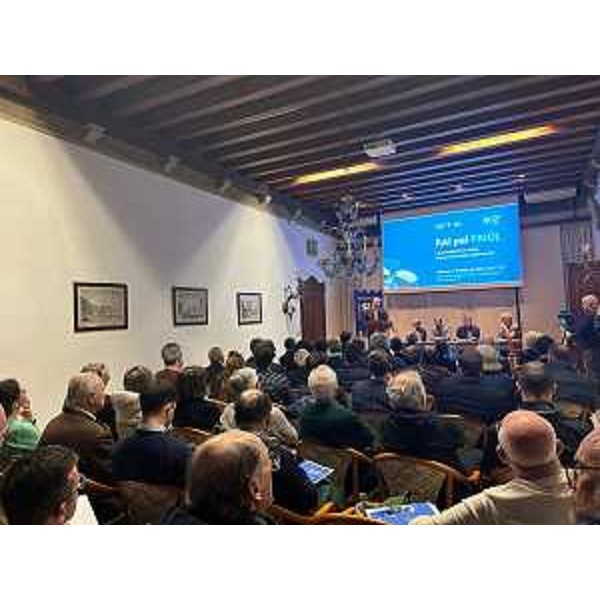 Il pubblico che ha affollato il salone "Guglielmo Pelizzo" della Società Filologica Friulana - Il pubblico che ha affollato il salone "Guglielmo Pelizzo" della Società Filologica Friulana