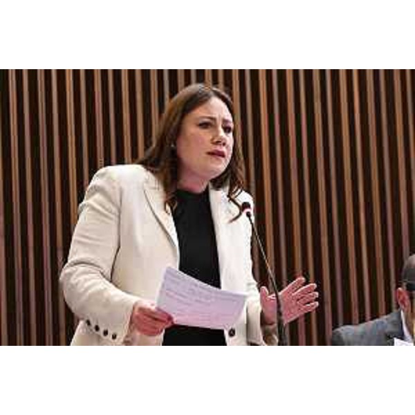 Manuela Celotti (Pd) - Manuela Celotti (Pd)