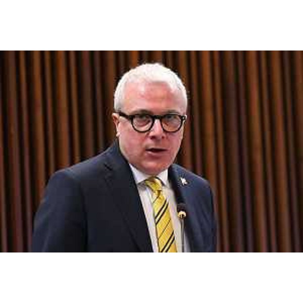 Andrea Cabibbo (FI) - Andrea Cabibbo (FI)