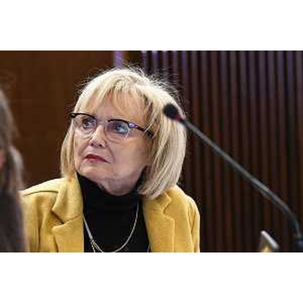 Laura Fasiolo (Partito democratico) - Laura Fasiolo (Partito democratico)