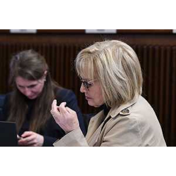 Laura Fasiolo (Partito democratico) - Laura Fasiolo (Partito democratico)