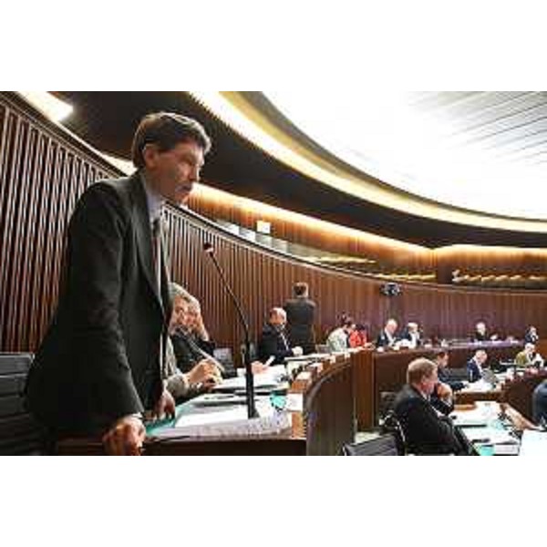 Nicola Conficoni (Pd) - Nicola Conficoni (Pd)