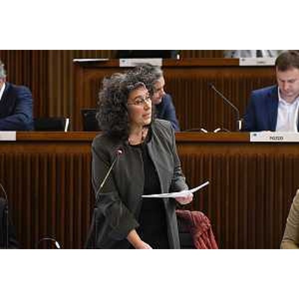 L'intervento di Serena Pellegrino (Avs) - L'intervento di Serena Pellegrino (Avs)