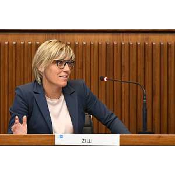 L'assessore regionale alle Finanze, Barbara Zilli - L'assessore regionale alle Finanze, Barbara Zilli