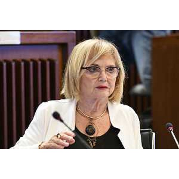 Laura Fasiolo (Pd) - Laura Fasiolo (Pd)