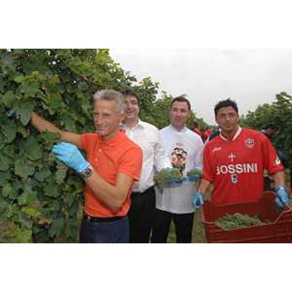 Riccardo Illy (Presidente Regione Friuli Venezia Giulia) ritratto in occasione della manifestazione "Calcio DiVino - La Triestina vendemmia l'Ultimo Tocai", avvenuta nei vigneti del Grupo Fantinel. (Tauriano di Spilimbergo, 04/09/06)