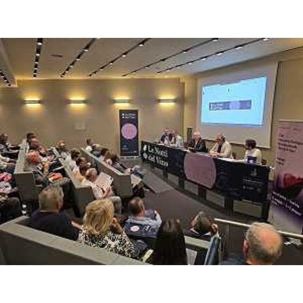 Un momento dell'incontro in sala Tessitori - Un momento dell'incontro in sala Tessitori