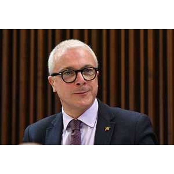 Andrea Cabibbo (FI) - Andrea Cabibbo (FI)