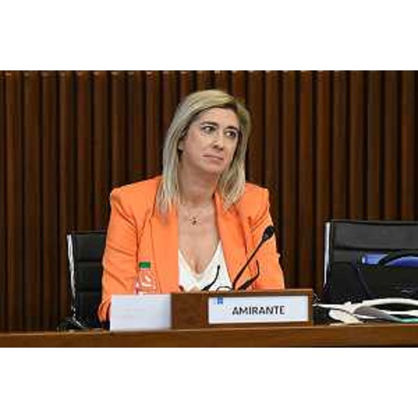 L'assessore regionale alle Infrastrutture in Aula durante il question time - L'assessore regionale alle Infrastrutture in Aula durante il question time