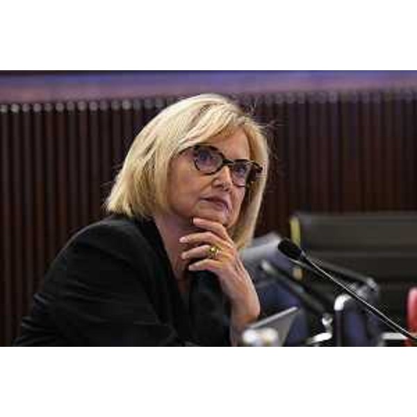 Laura Fasiolo (Pd) - Laura Fasiolo (Pd)