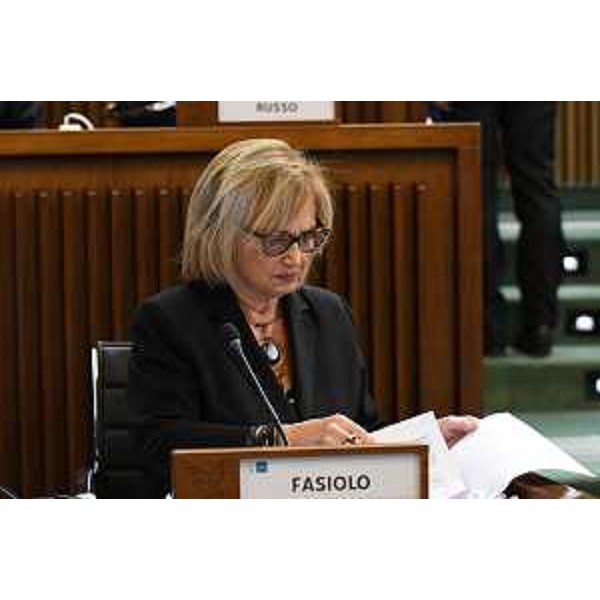 Laura Fasiolo (Partito democratico) - Laura Fasiolo (Partito democratico)