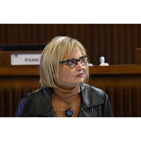 Laura Fasiolo (Pd) - Laura Fasiolo (Pd)