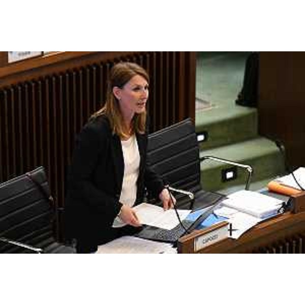 Rosaria Capozzi (M5S) - Rosaria Capozzi (M5S)