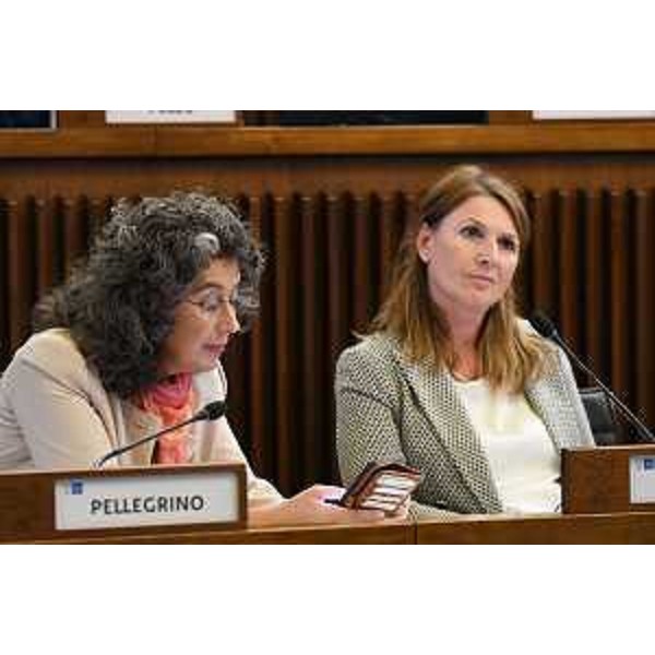 Serena Pellegrino (Avs) e Rosaria Capozzi (M5S) - Serena Pellegrino (Avs) e Rosaria Capozzi (M5S)