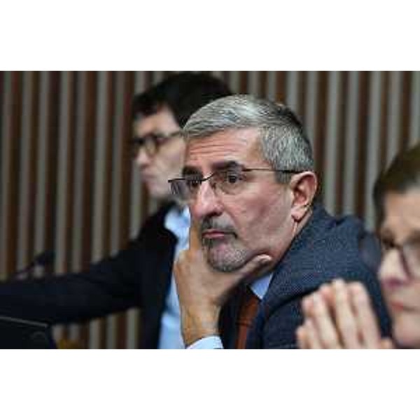 Andrea Carli (Pd) - Andrea Carli (Pd)